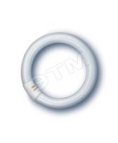 Лампа люминесцентная кольцевая ЛЛ 32вт L 32/640 белая Osram (209418) - артикул 209418