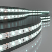 Лента светодиодная 60Led 4,8W IP65 6500K холодный белый 2835 12V 5 м в упак | a040996 | Elektrostandard - артикул a040996