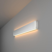 Линейный LED накладн. двусторонний светильник 53см 20W 3000K матовое серебро (101-100-40-53) | a041474 | Elektrostandard - артикул a041474