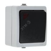 Выключатель Венеция одноклавишный с индикатором 10А IP54 серый (EVV10-121-30-54) - артикул EVV10-121-30-54