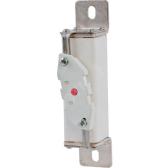 Быстрый предохранитель 100A 1200Vdc 1C/112 LC AR - артикул 170M2034