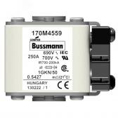 Быстрый предохранитель 250A 690V 1GKN/50 AR UC (170M4559) - артикул 170M4559