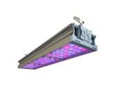 Светильник светодиодный ФИТО-153,3W IP67 171ммоль/с КСС Г RS - артикул УТ000002575
