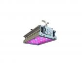 Светильник светодиодный ФИТО-46W IP67 57ммоль/с КСС Г UN - артикул УТ000002580