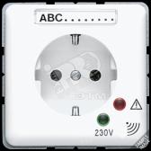 Розетка штепсельная SCHUKO 16А 250V с защитой от перенапряжения и полем для надписи (521KIZNAUF) - артикул 521KIZNAUF