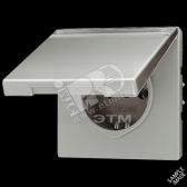 Розетка штепсельная SCHUKO 16A 250V с откидной крышкой и полем для надписи металл цвета золота - артикул GO2520NAKL