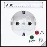 Штепсельная розетка SCHUKO 16А 250V~ с защитой от перенапряжения и полем для надписи (LS521KINAUFLG) - артикул LS521KINAUFLG