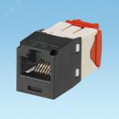 Модуль CJ5E88TGBL-24 Универсальный  Mini-Com TX5e, медный, неэкранированны (CJ5E88TGBL-24) - артикул CJ5E88TGBL-24