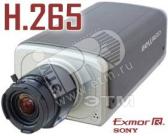 Видеокамера IP (B5650) - артикул B5650