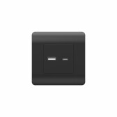 Розетка USB A+С, 5В/2,1А, черный(NEW3-E) | 431501 | CHINT - артикул 431501