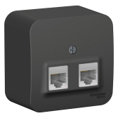 Blanca Антрацит О/У с изолирующей пластиной Розетка 2-ая компьютерная RJ45, кат.5E, | BLNIA045456 | SE - артикул BLNIA045456