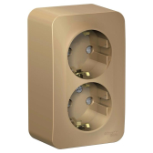 Blanca Титан О/У с изолирующей пластиной Титан Розетка 2-ая с заземлением со шторками 16А, 250В | BLNRA011214 | SE - артикул BLNRA011214