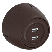 Розетка USB двойная  Rotondo, с подсветкой, цвет коричневый - артикул 7700898