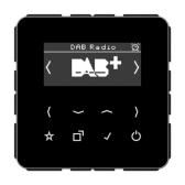 Цифровое радио DAB +| DABCDSW |Jung - артикул DABCDSW