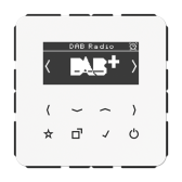 Цифровое радио DAB +| DABCDWW |Jung - артикул DABCDWW