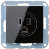 Розетка системы US-NEMA 15А 125V| A521-15SW |Jung - артикул A521-15SW