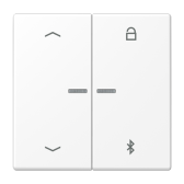 Таймер универсальный Bluetooth с символами "стрелки"; дюропласт; белый матовый - артикул LS1751PBTWWM