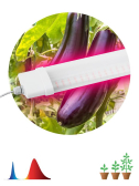 Светильник линейный красно-синего спектра FITO-36W-RB-N (10/240) - артикул Б0045697
