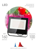 Прожектор красно-синего спектра FITO-100W-RB-LED - артикул Б0046369