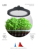 Фитопрожектор для растений светодиодный FITO-50W-RB-LED-UFO красно-синего спектра 50 Вт IP65 - ЭРА (Энергия света), артикул Б0053280