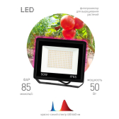 Прожектор красно-синего спектра FITO-50W-RB-LED - ЭРА (Энергия света), артикул Б0046368