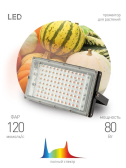 Фитопрожектор для растений светодиодный FITO-80W-Ra90-LED-Y полного спектра - ЭРА (Энергия света), артикул Б0057284