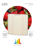 Фитопрожектор для растений светодиодный FITO-80W-LED-QB Quantum board - ЭРА (Энергия света), артикул Б0053285