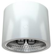 Светильник DLX 2x18 HFR накл. down light рег.ЭПРА (1213000040) - артикул 1213000040