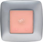 Светильник аварийный BS + 1TR - артикул 4501006510
