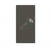 SRD-2-L-95 Клавиша двойная левая free@home, светорегулятор, Basic 55, цвет ch?teau-black - артикул 2CKA006220A0695