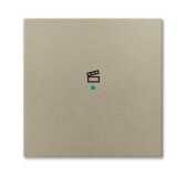SRS-1-93 Клавиша одинарная free@home, сцена, Basic 55, цвет шампань | 6220-0-0655  | 2CKA006220A0655 | ABB - артикул 2CKA006220A0655