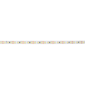 Лента светодиодная LED PLS 2835/120 12Вт 12В 6500К IP20 5м | 2859051 | Jazzway - артикул .2859051