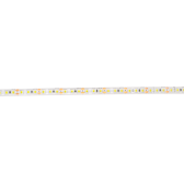Лента светодиодная LED PLS 2835/120 12Вт 12В 6500К IP65 5м | 2859099 | Jazzway - артикул .2859099