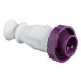 КАБ ВИЛК ВИНТ 32A 2P 20-25V IP67 | 82365 | Schneider Electric - артикул 82365