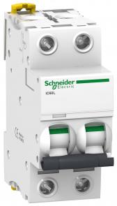 Выключатель автоматический двухполюсный iC60L 25А B 15кА | A9F93225 | Schneider Electric - артикул A9F93225