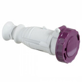 КАБ РОЗ ВИНТ 32A 3P 20-25V IP67 | 82466 | Schneider Electric - артикул 82466