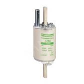 ПРЕДОХРАНИТЕЛЬ OE AM 160 | DF4GA1161 | Schneider Electric - артикул DF4GA1161