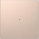 Клавиша D-Life PlusLink 1-ная без символов шампань SD (MTN5210-6051) - артикул MTN5210-6051