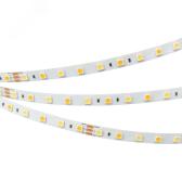 Лента RT-B60-10mm 24V White-MIX (14.4 W/m, IP20, 5060, 5m) (Arlight, 14.4 Вт/м, IP20) (025213(1)) - артикул 025213(1)