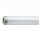 Лампа линейная люминесцентная ЛЛ 65вт TL-M RS 65/33-640 G13 белая (072486140) - артикул 072486140