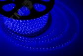 Лента уличная LED герметичная в силиконовой оболочке 220В 13х8мм IP65 SMd5050 60 диодов/метр cиний (бухта 100м) - артикул 142-103
