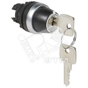 Головка с 2 потайными толкателями, с ключом, 3 положения, 45 градусов (023960) - Legrand