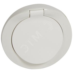 Панель лицевой розетки 2К+З с заземлением IP44 французский стандарт - Legrand