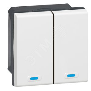 KNX Mosaic. Пульт 2-клавишный 2-канальный - Legrand