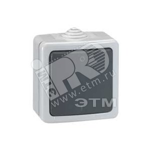 PLEXO Выкл2полюс.1кл.нар. IP55 (69530+69651) (91602) - Legrand