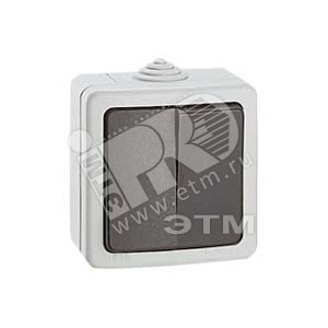 Plexo Переключатель двухклавишный наружный IP55 (91607) - Legrand