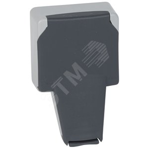 Plexo Серый Розетка с/з с крышкой с системой "lock 66" встраиваемая IP66 | 090485 | Legrand - Legrand