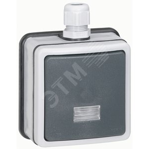 Plexo Переключатель двухполюсный с подсветкой 10А наружный IP66 (90464) - Legrand