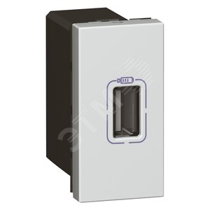 USB роз. д/зарядки одинар. бел | 079391 | Legrand - Legrand
