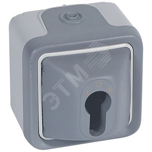 Выключатель с ключом серый, 10A, 250В - Legrand
